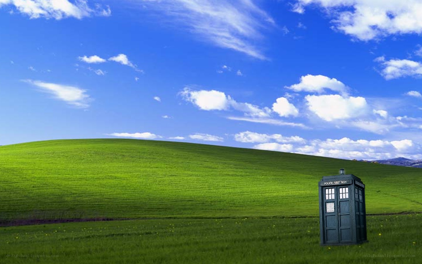 TARDIS in a green field