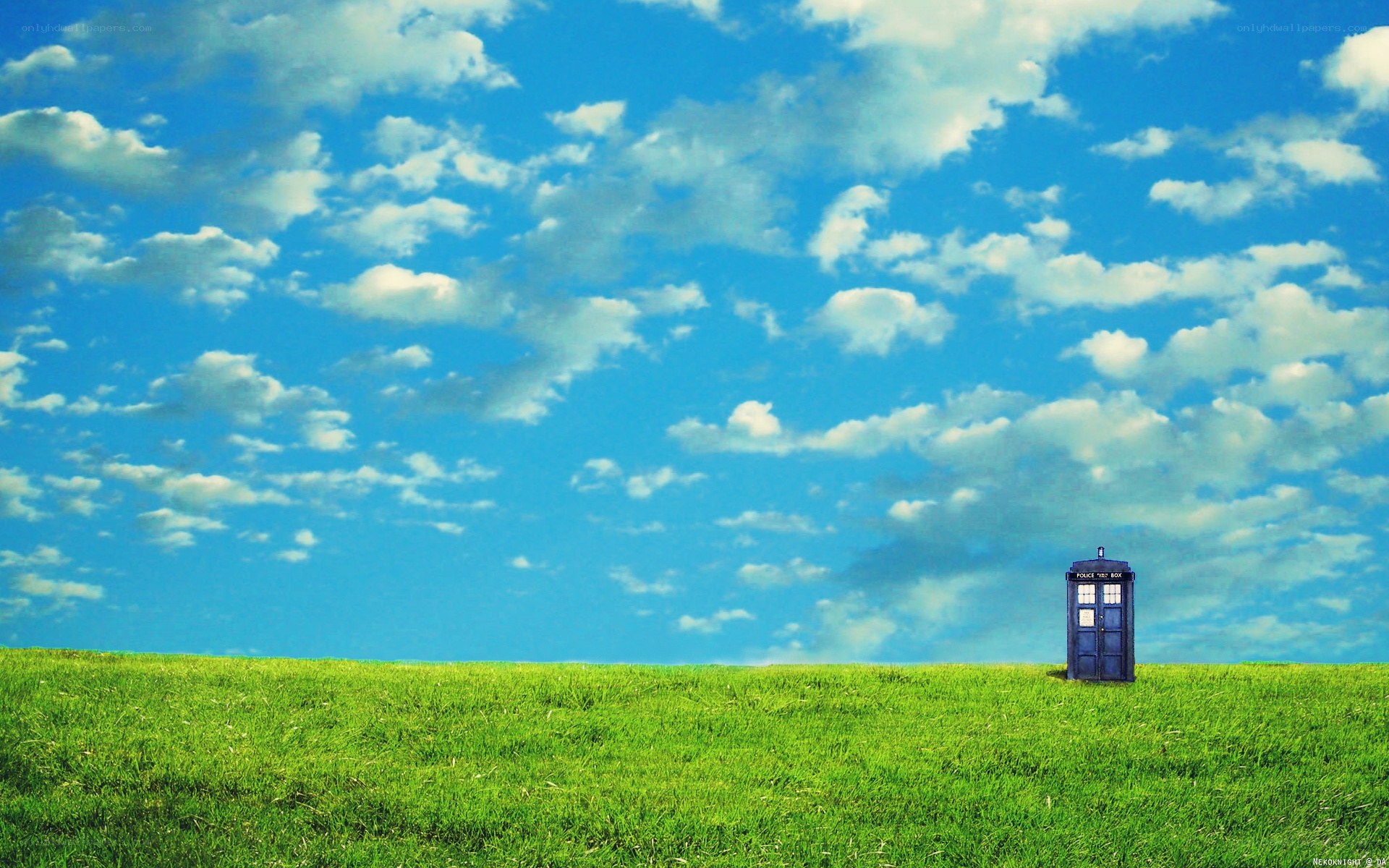TARDIS in a green field