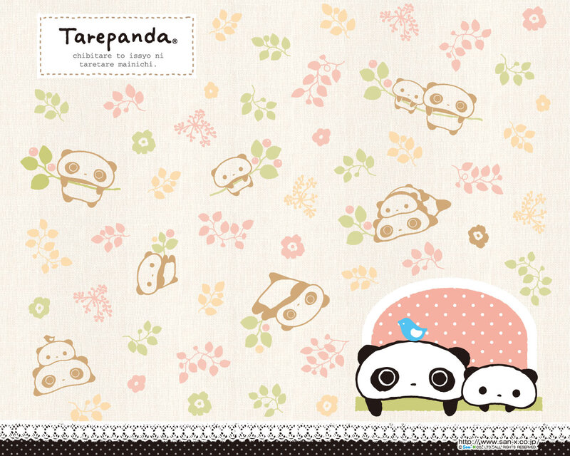 Tarepanda cute wallpaper