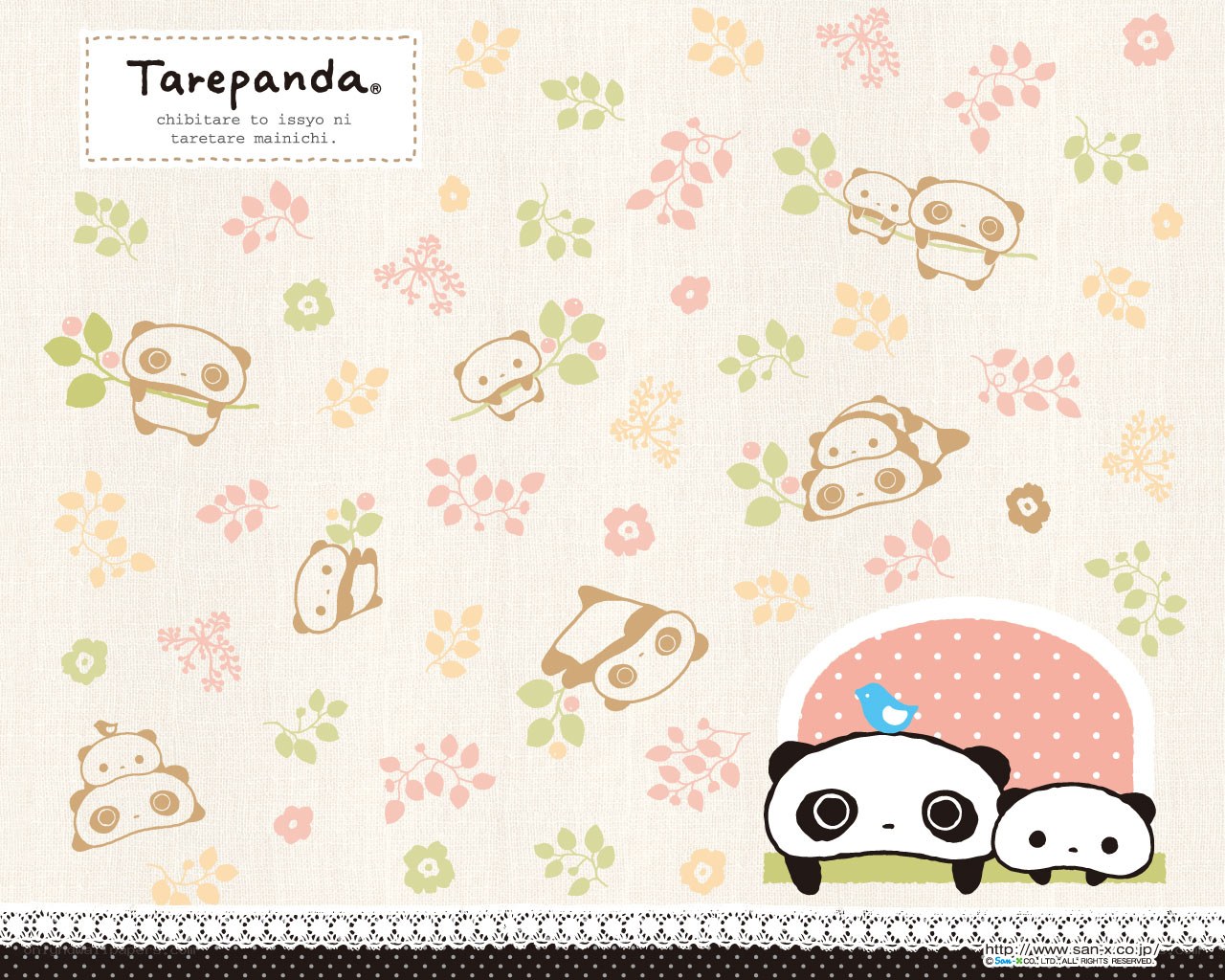 Tarepanda cute wallpaper