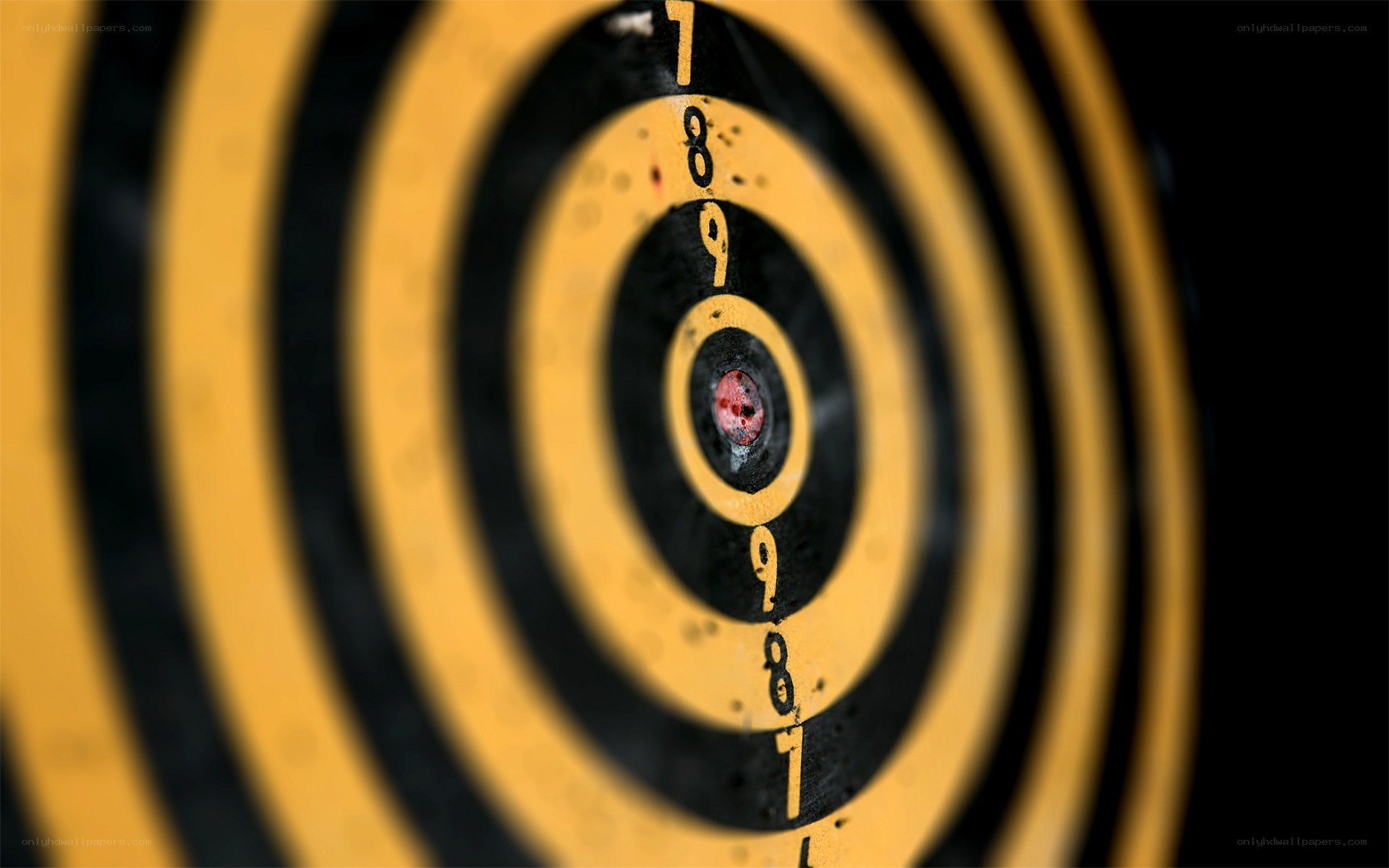 Target with arrow in bullseye