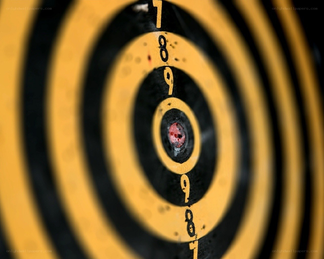 Target with arrow in bullseye