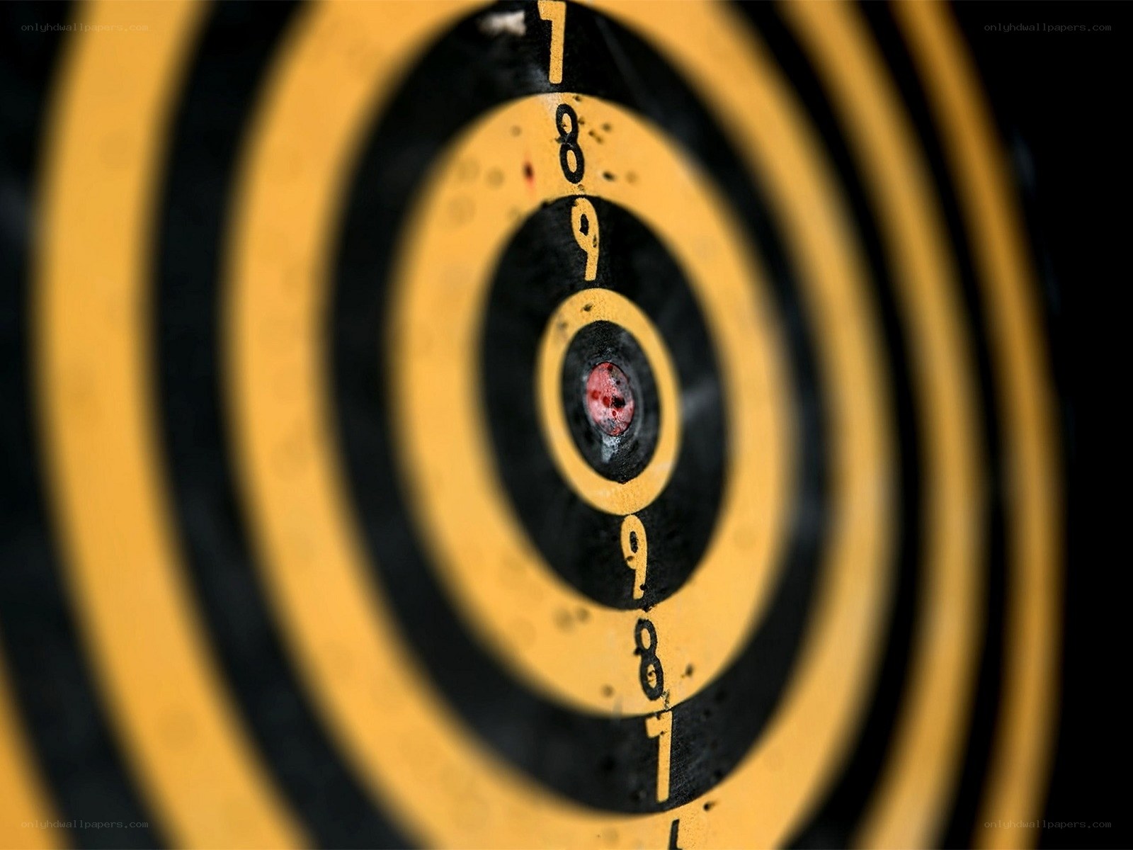 Target with bullet hole