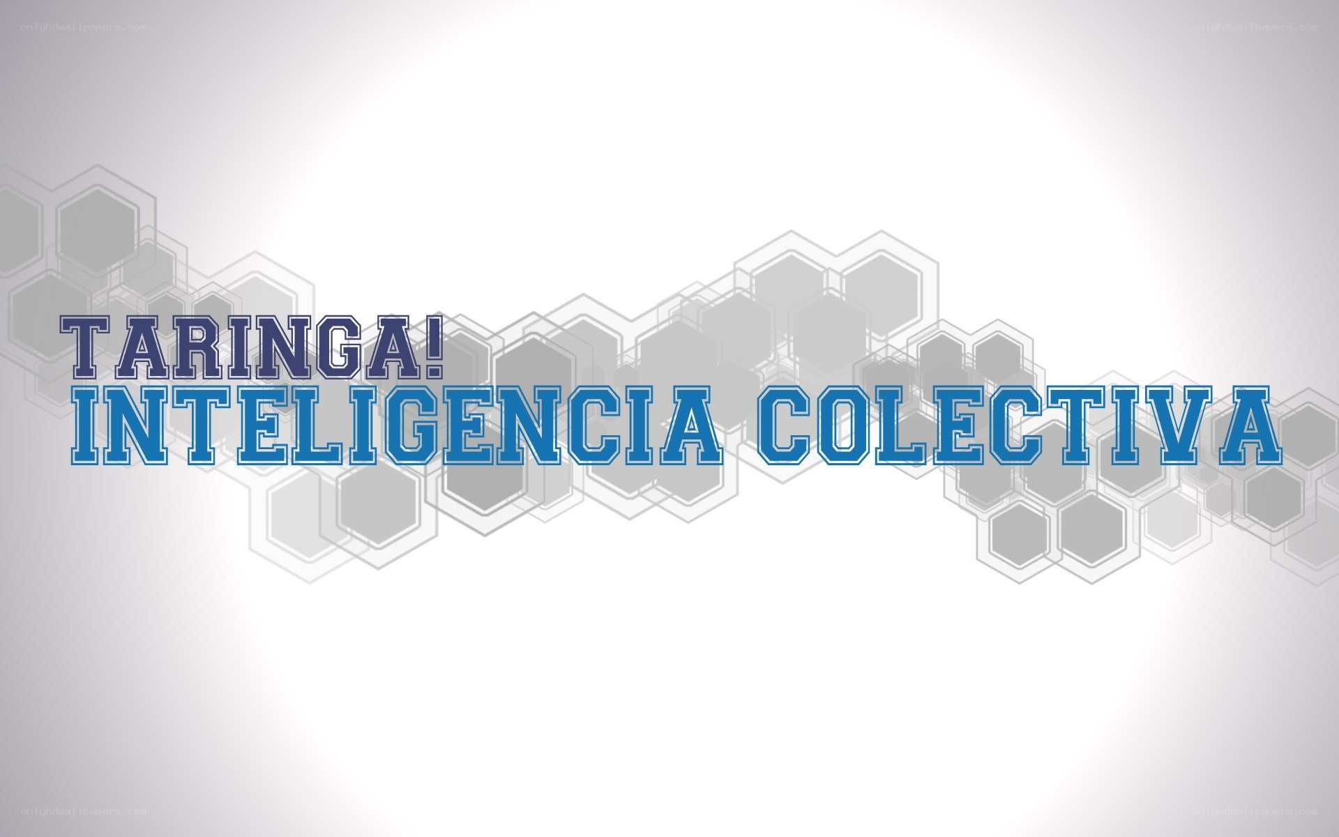 Taringa! Collective Intelligence