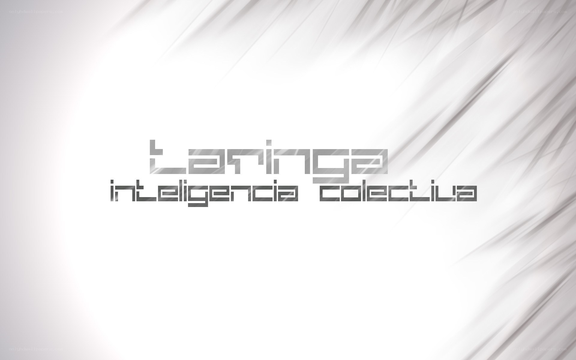 Taringa collective intelligence