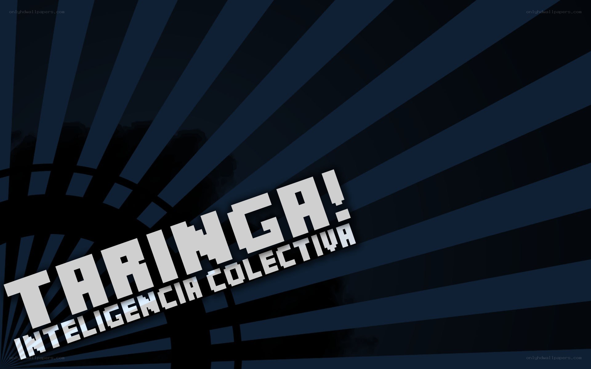 Taringa! collective intelligence