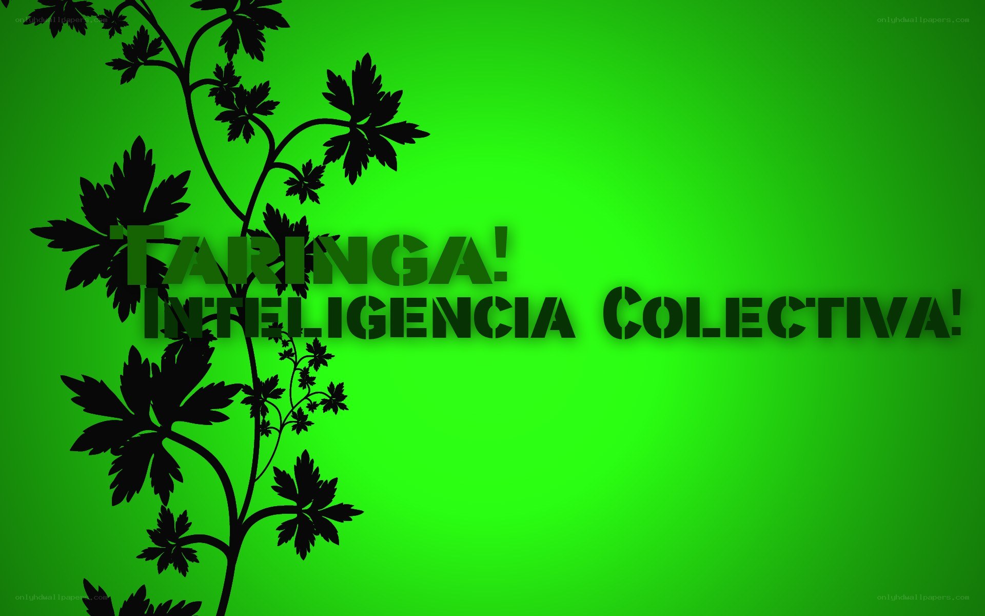 Taringa! Collective Intelligence