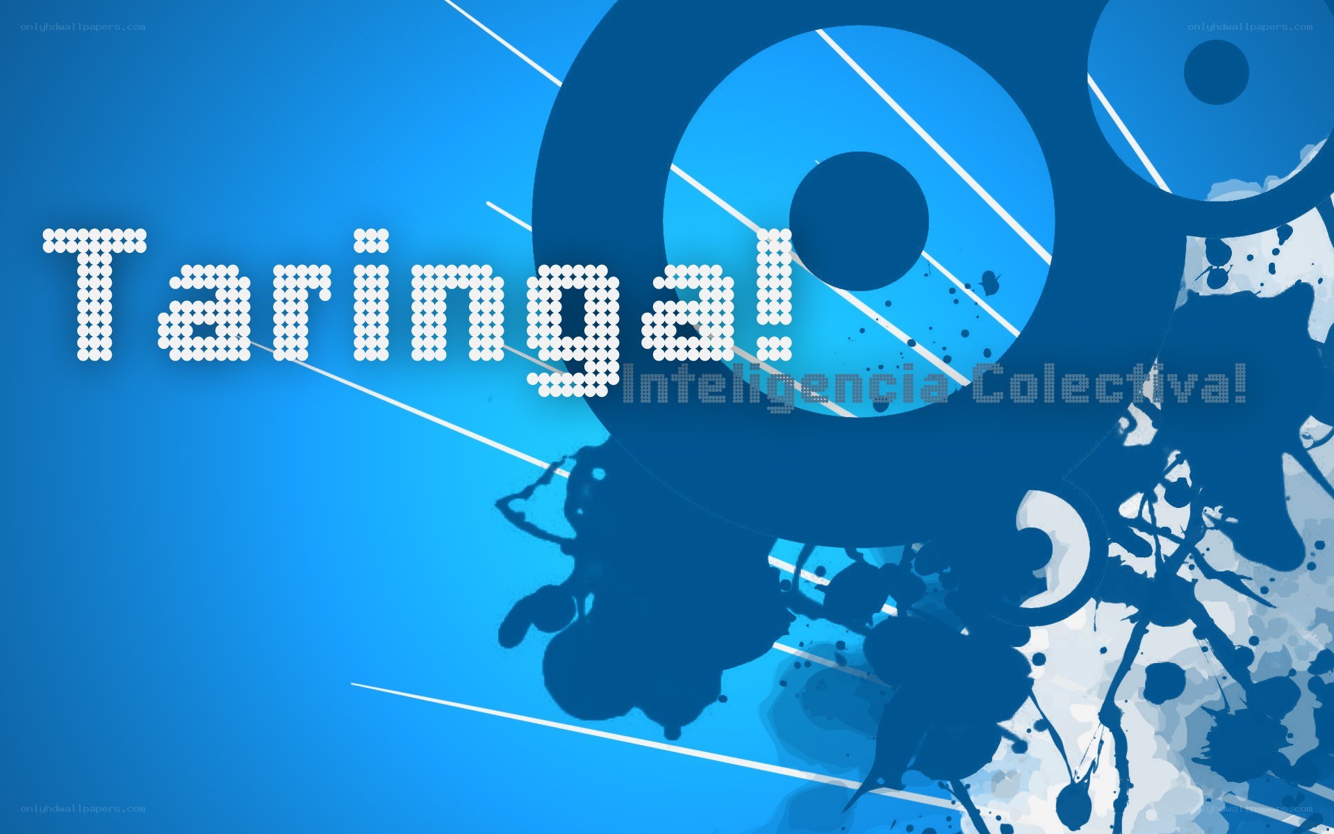 Taringa! collective intelligence