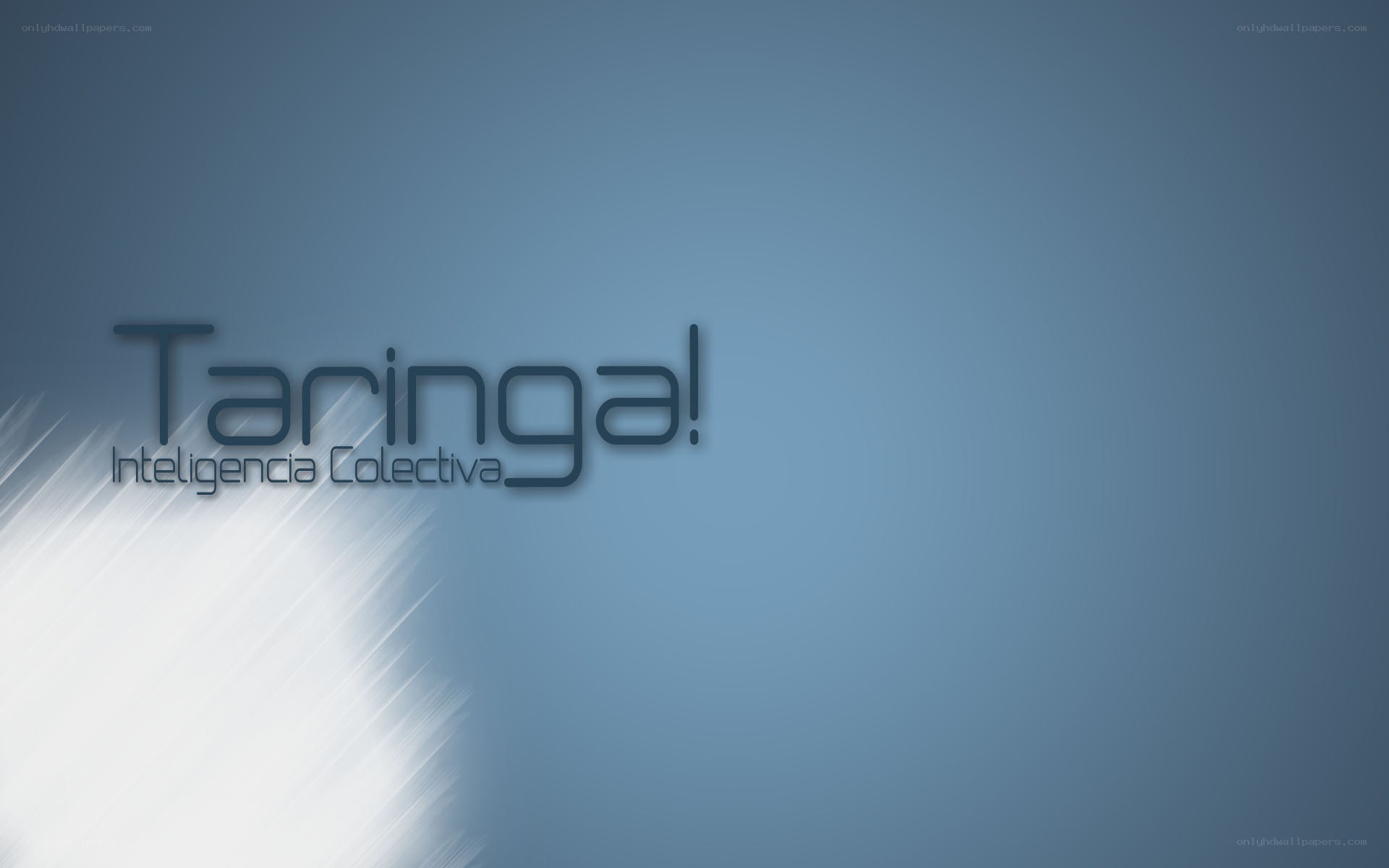Taringa! logo with tagline