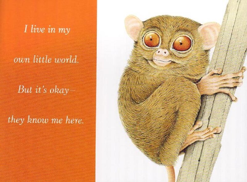 Tarsier on a Branch — Orange