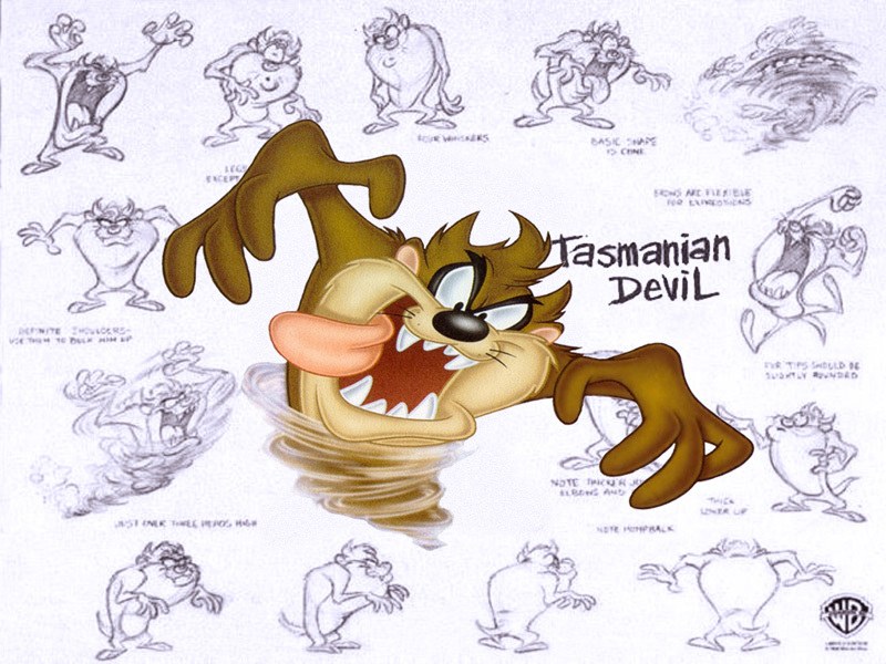 Tasmanian Devil character design