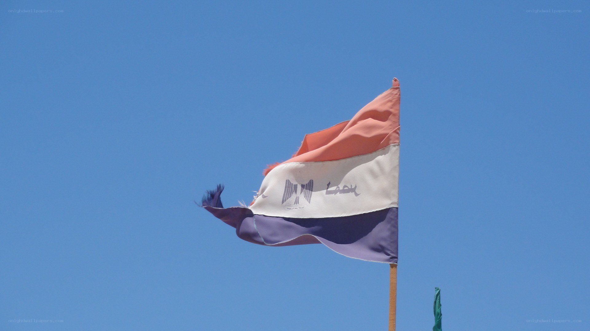 tattered flag against blue sky