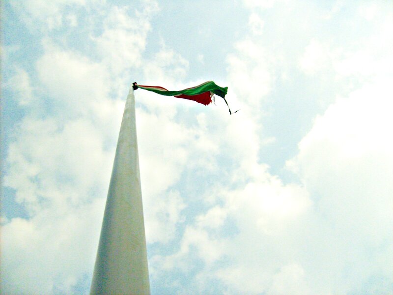 Tattered Flag on Pole