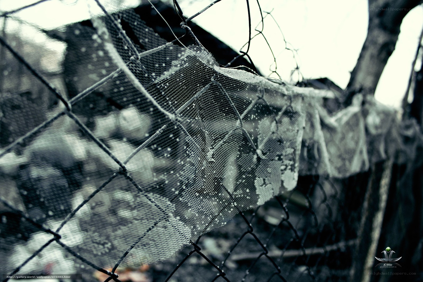 Tattered net on a chain-link fence