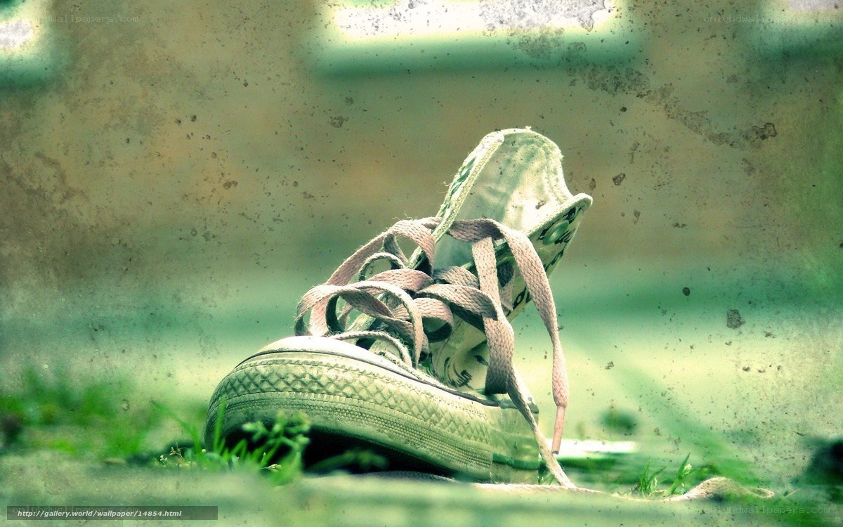 tattered sneaker on grass
