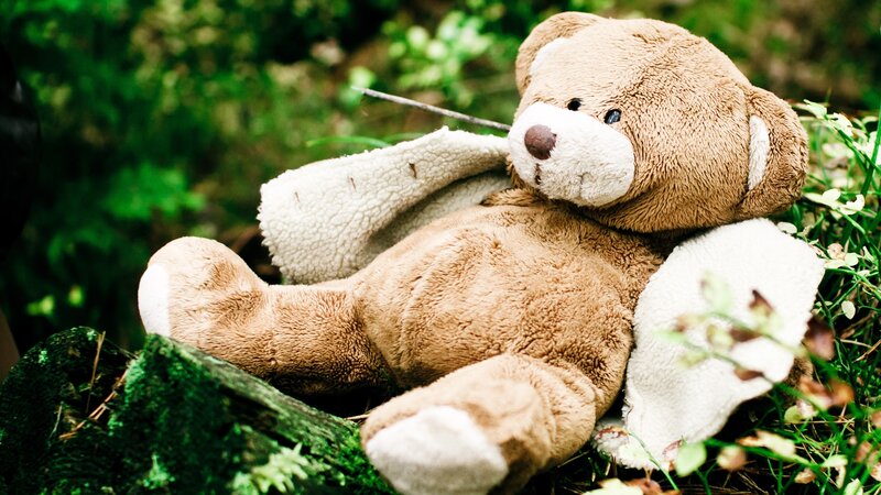 tattered teddy bear in grass