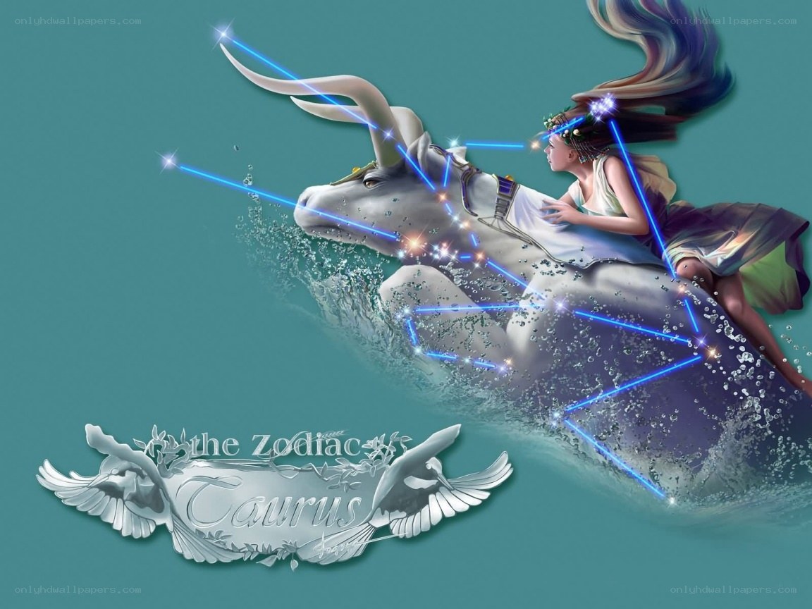 Taurus zodiac illustration