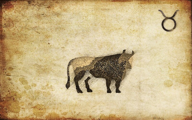 Taurus zodiac sign illustration