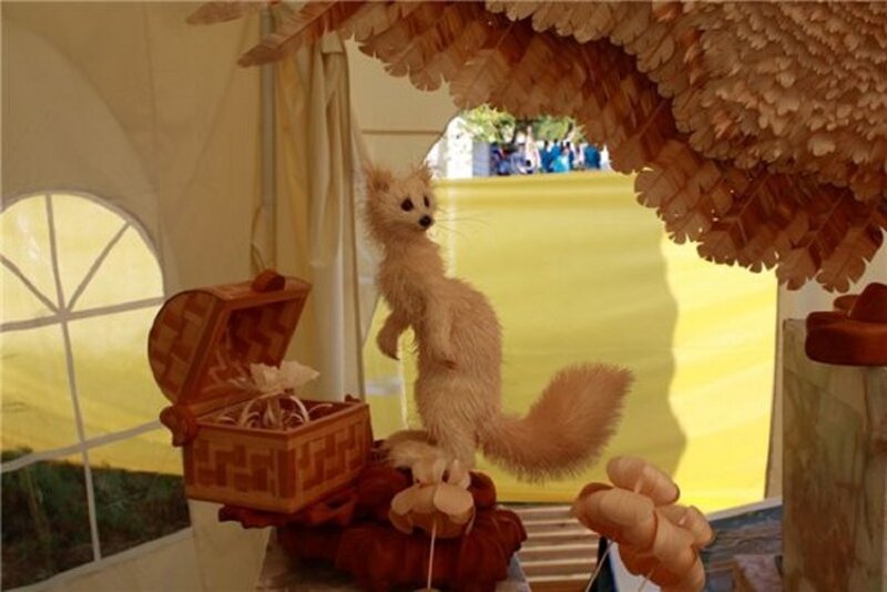Taxidermied Fox in Display