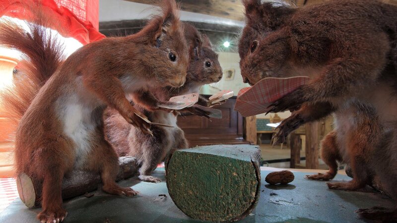 Taxidermied Squirrels Playing Cards