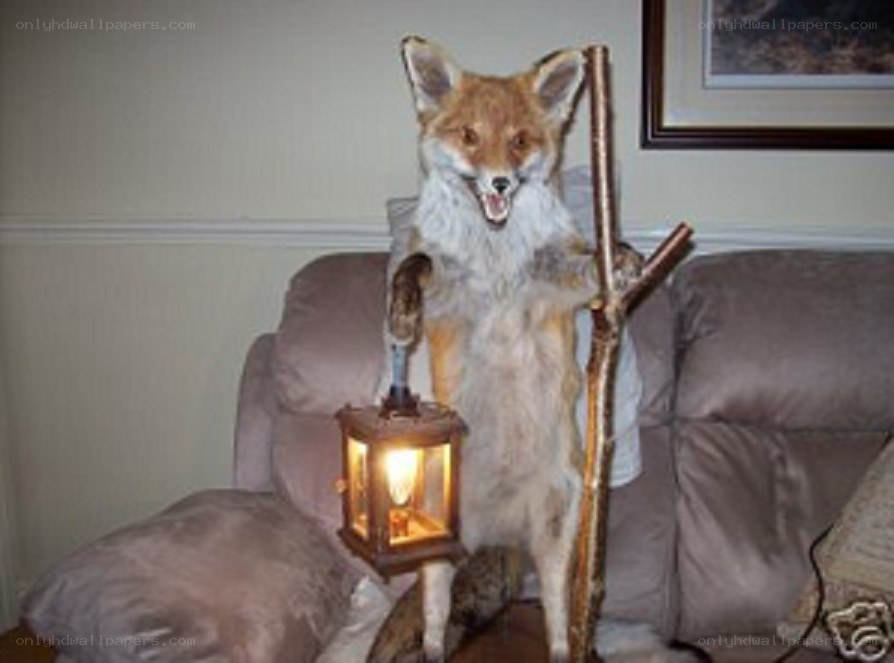 taxidermy fox with lantern
