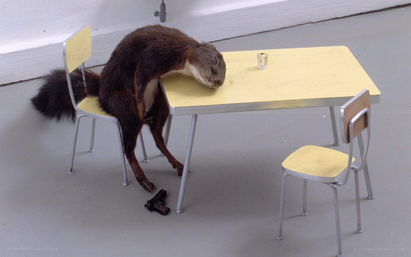 taxidermy squirrel at table