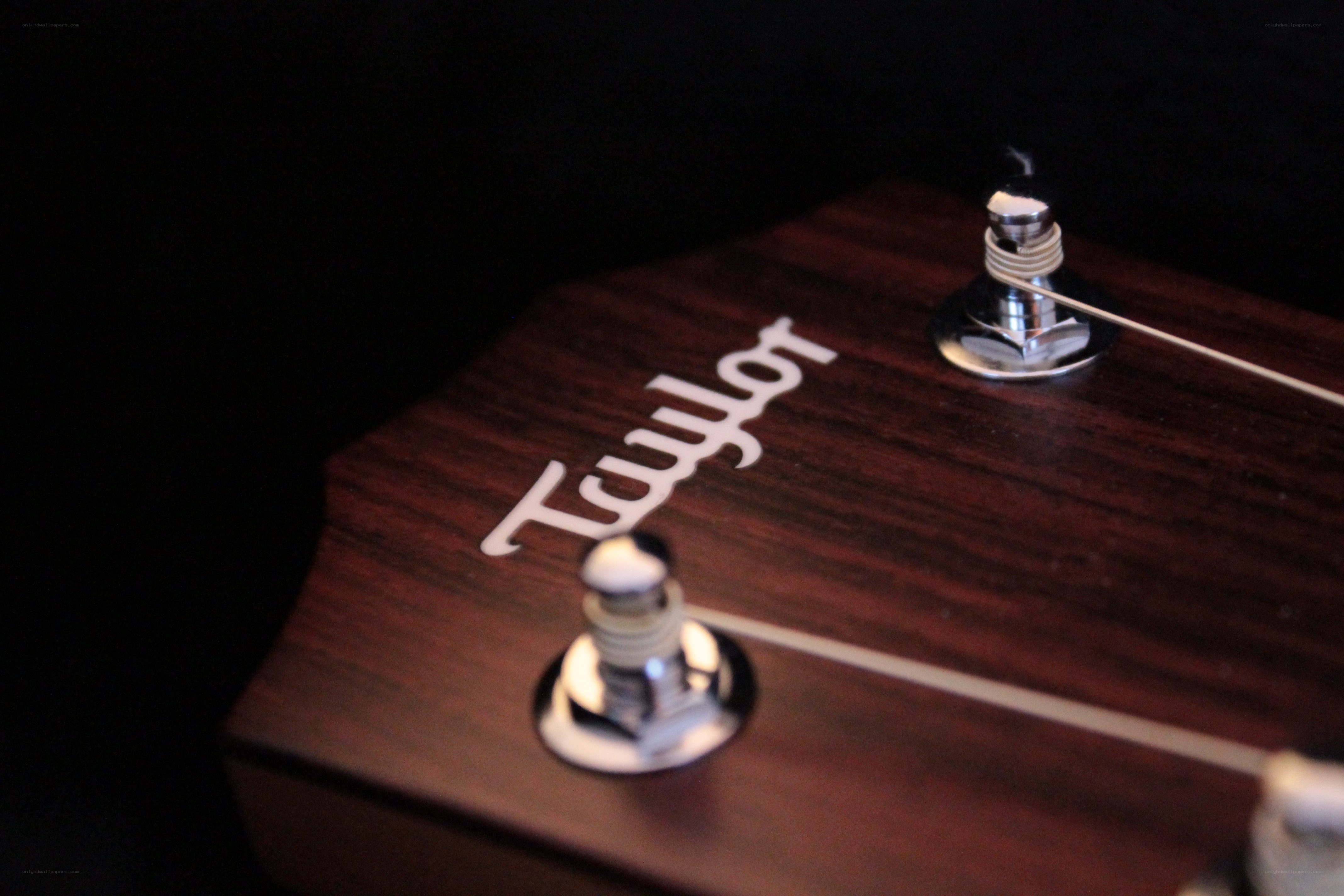 Taylor guitar headstock close-up
