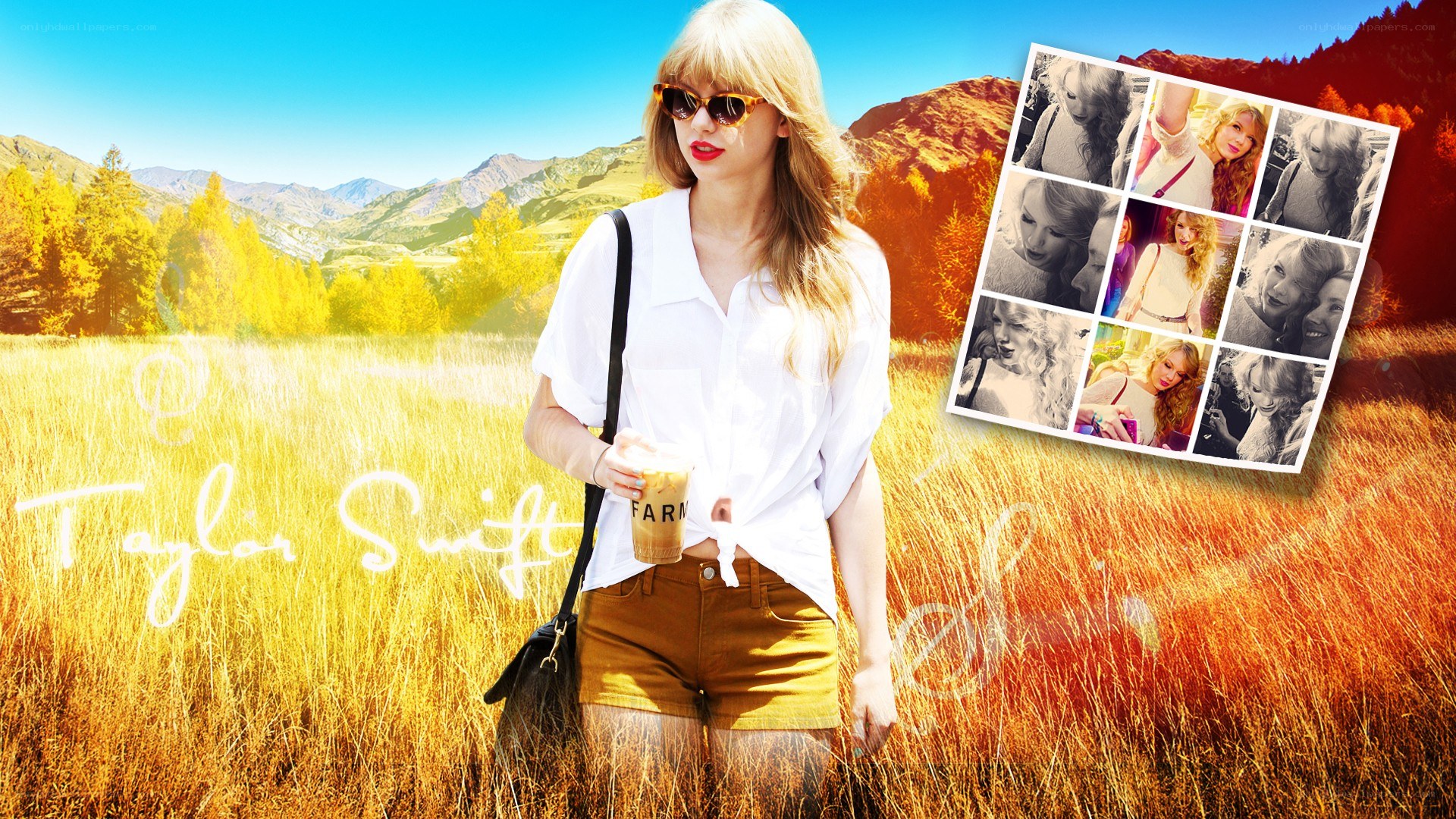 Taylor Swift in a field