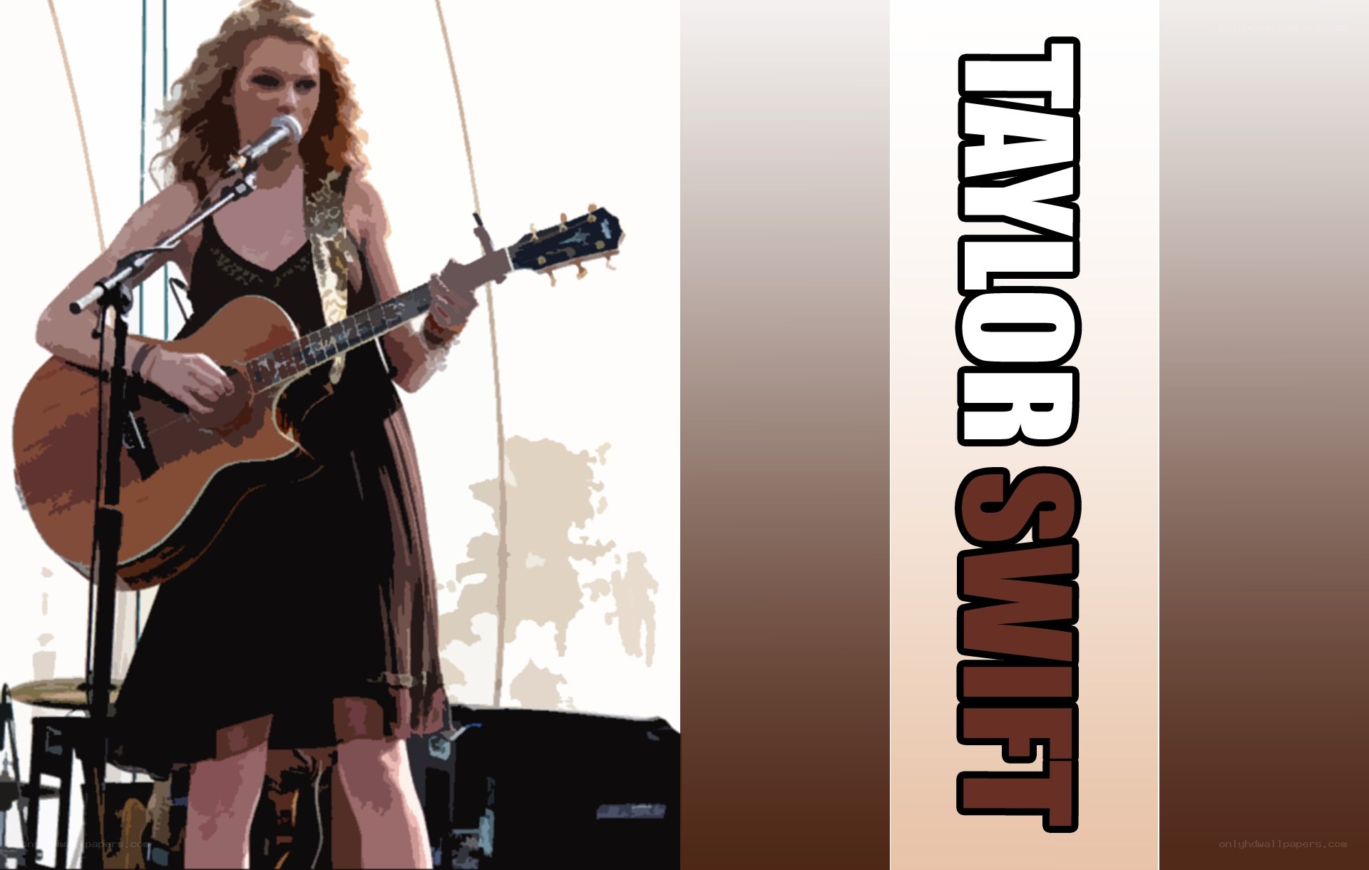 Taylor Swift performing live