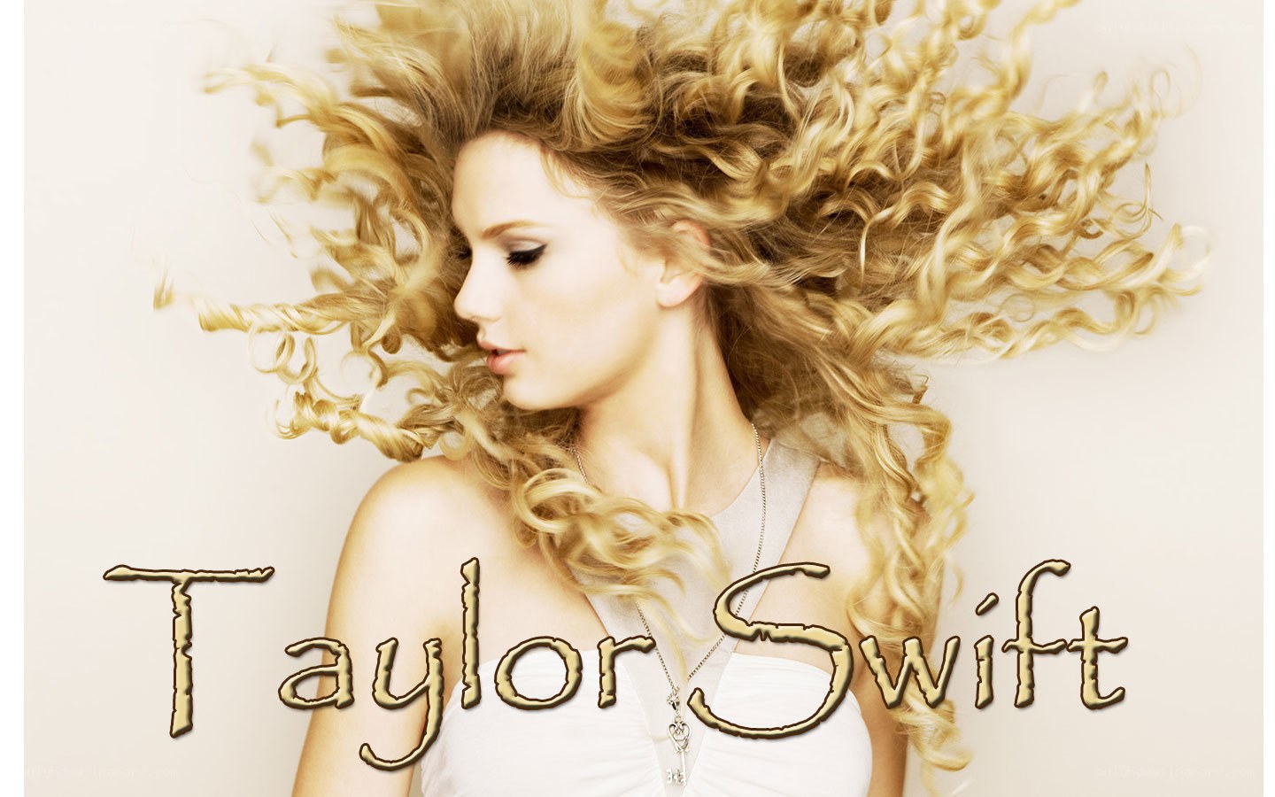 Taylor Swift portrait