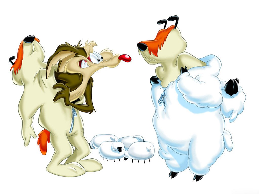 Taz and the Sheep