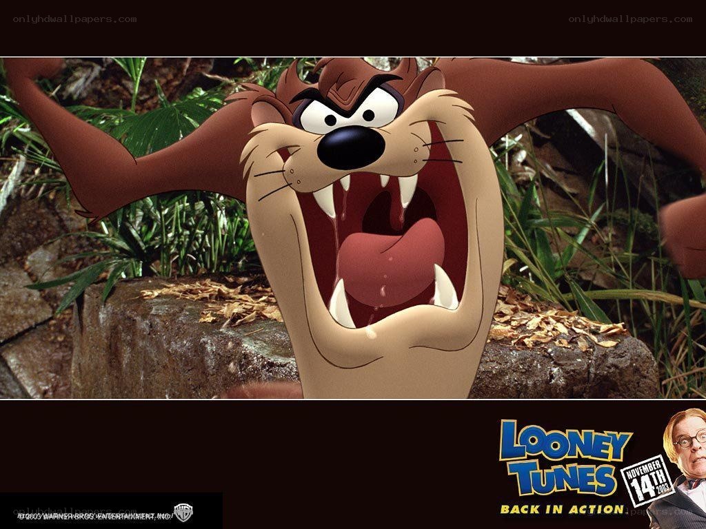 Taz in Looney Tunes