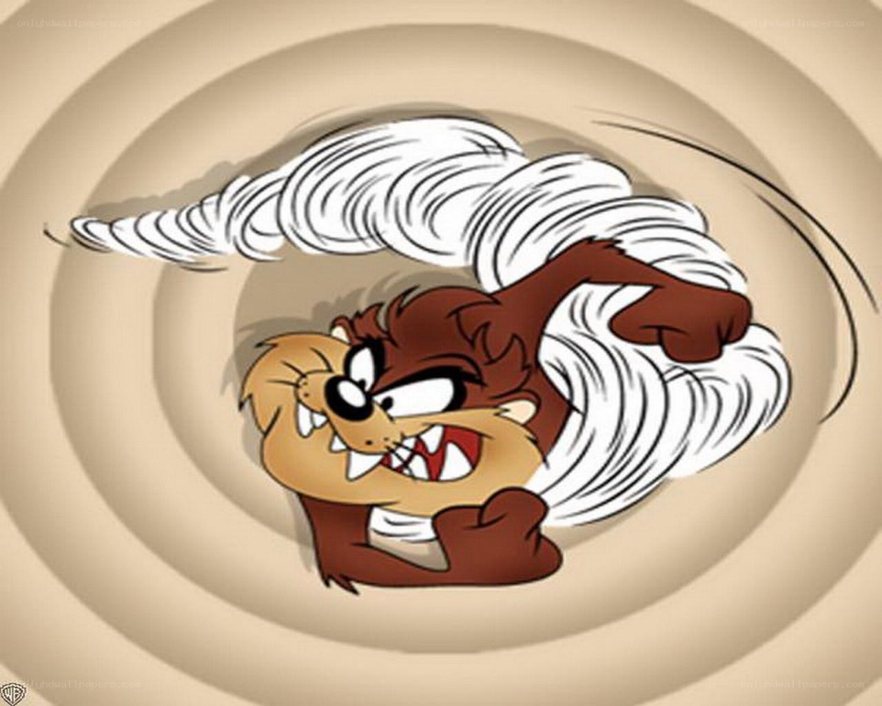 Taz spinning in a tornado