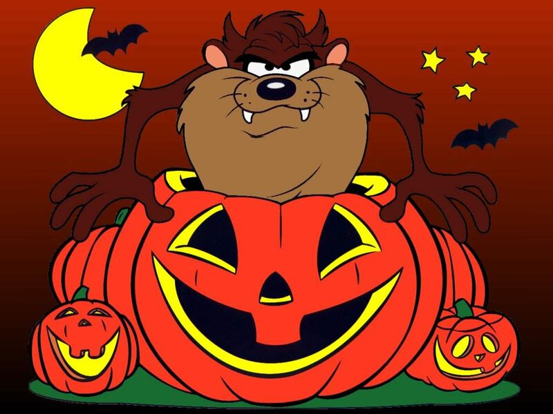 Taz the Tasmanian Devil — Orange
