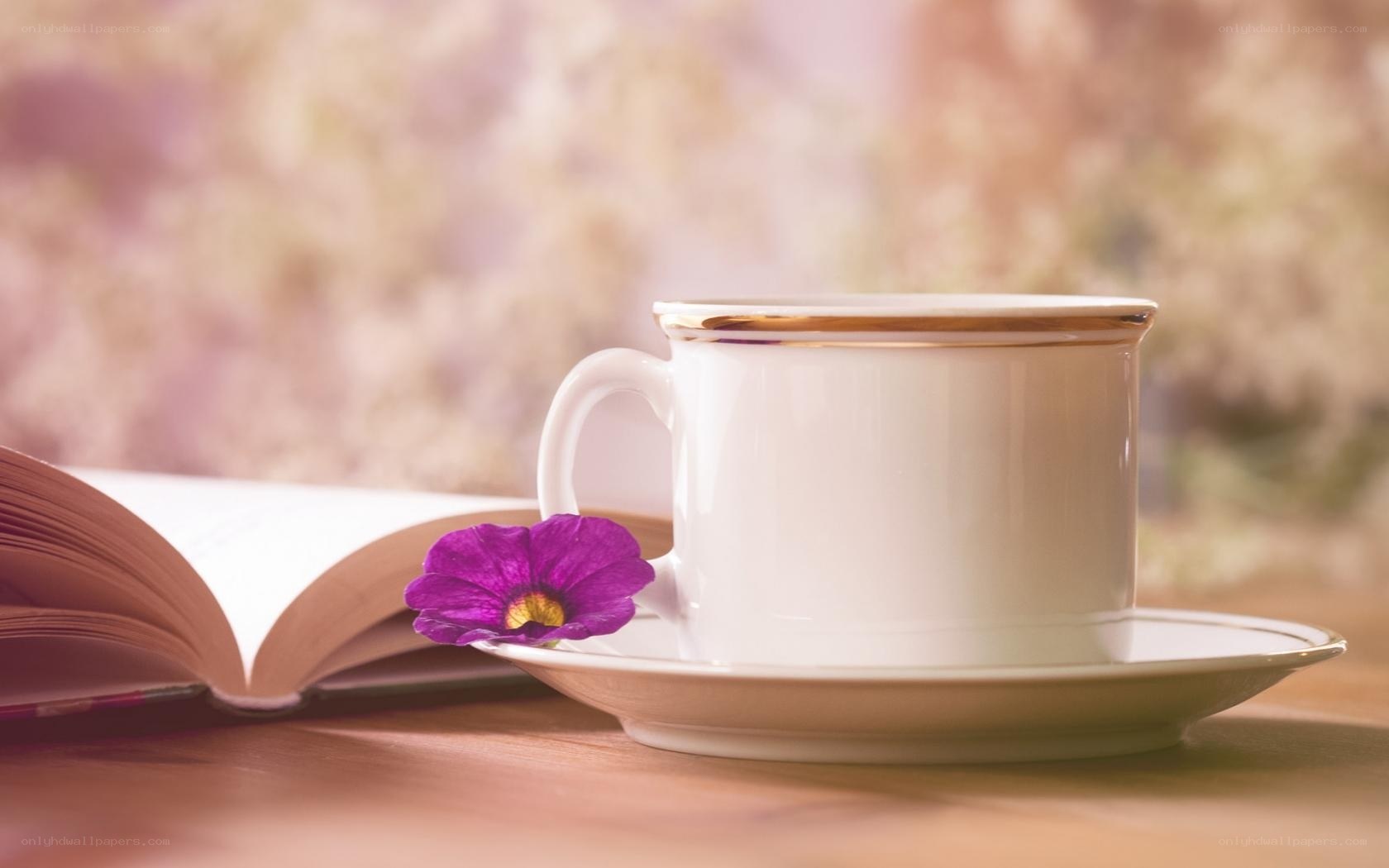 Tea and book with flower
