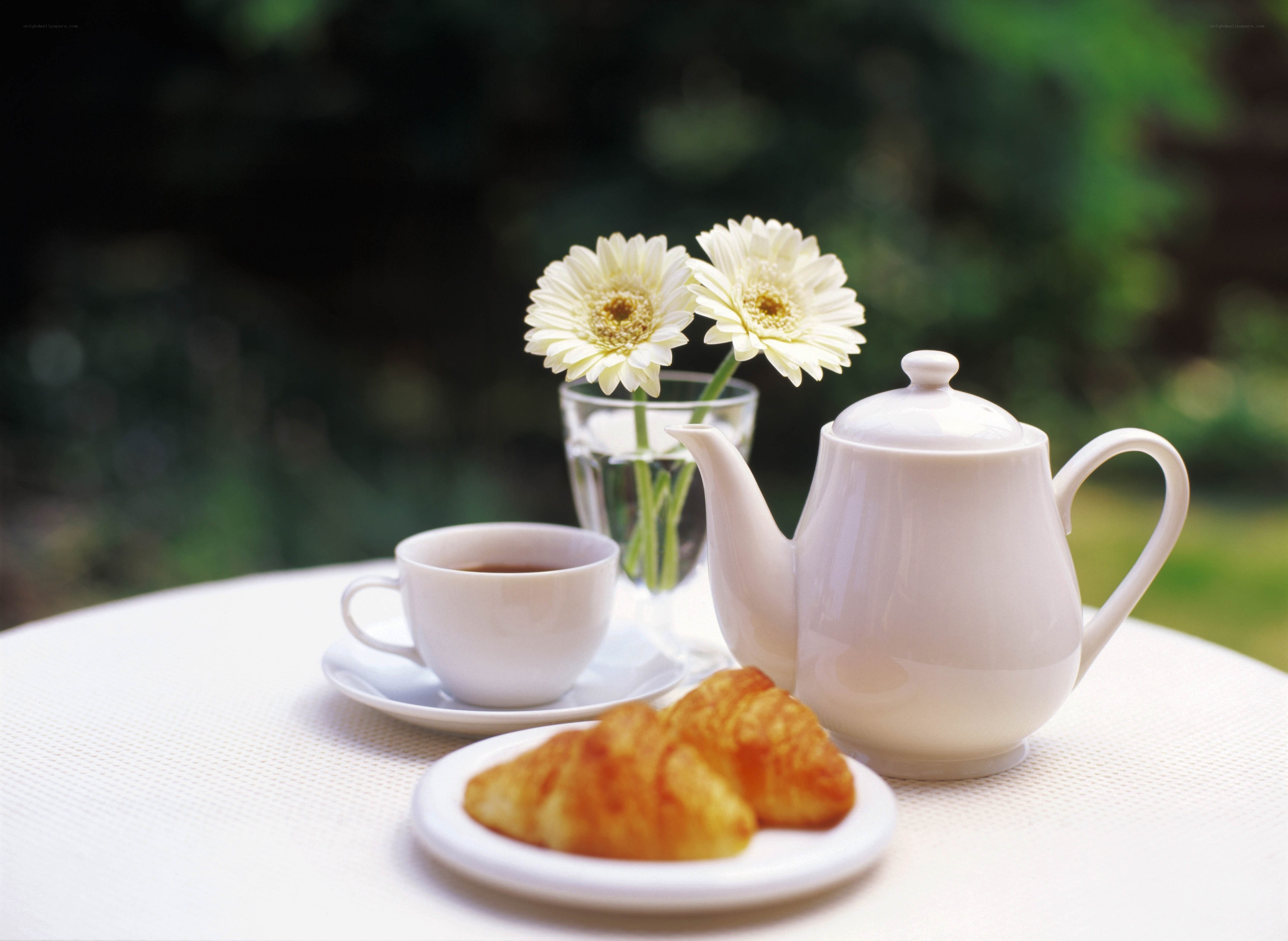 Tea and croissants outdoors