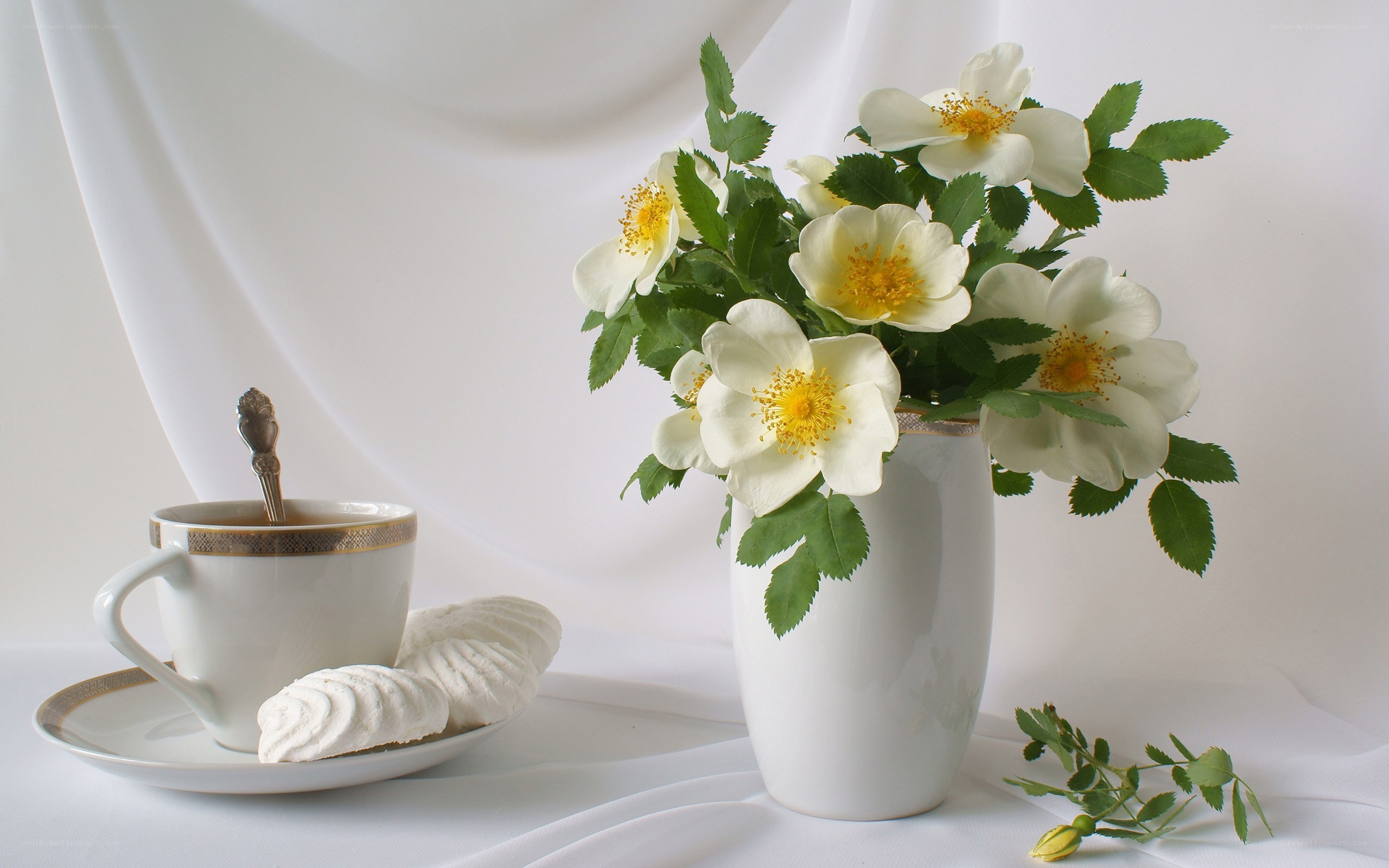 Tea and flowers still life