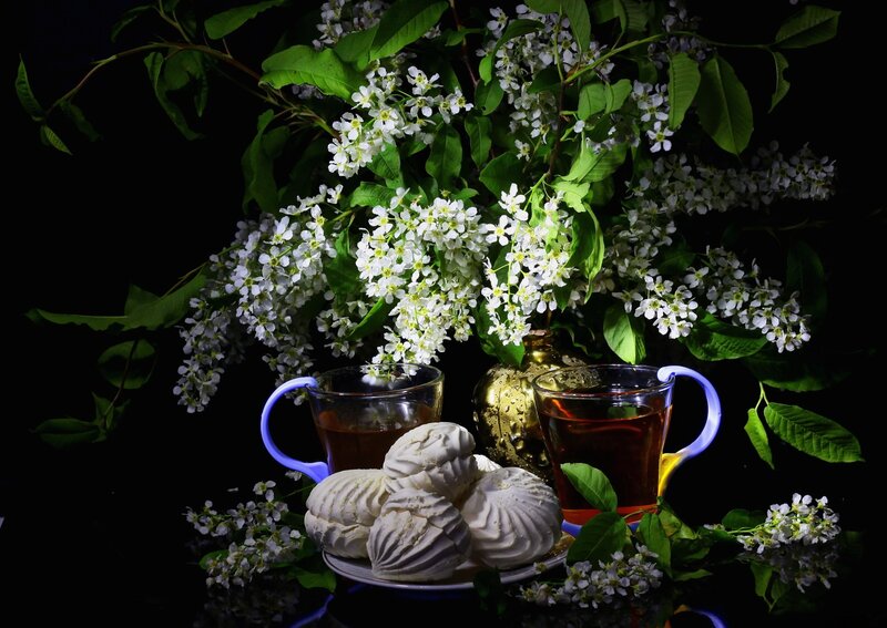 Tea and Meringues — Black