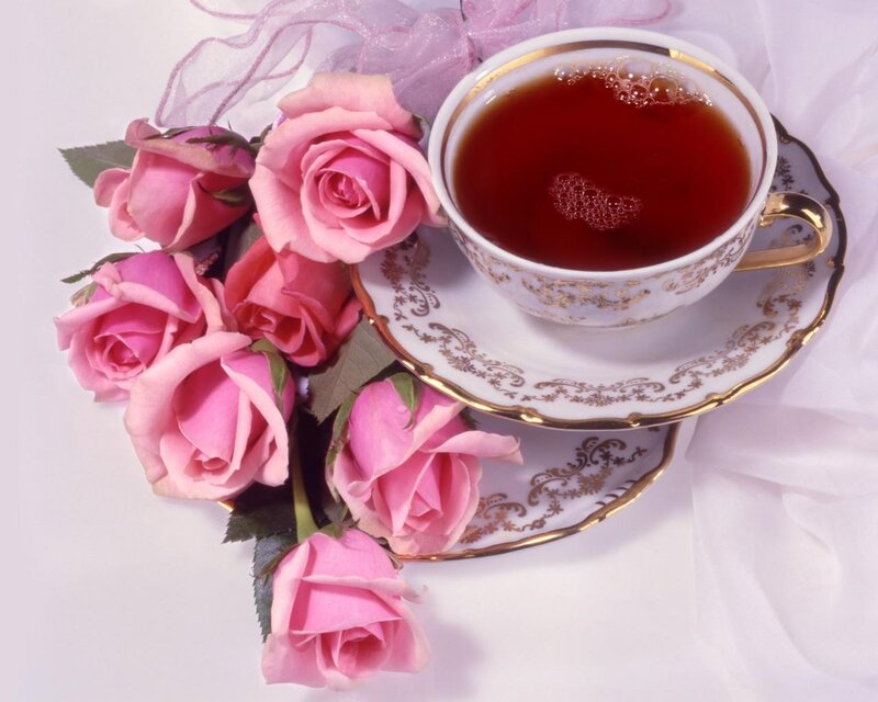 Tea and pink roses