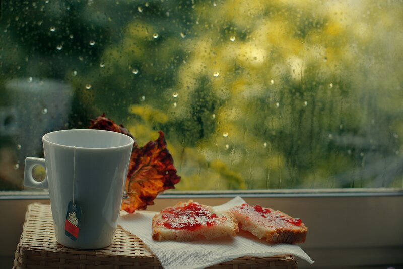 Tea and Toast on Windowsill — White