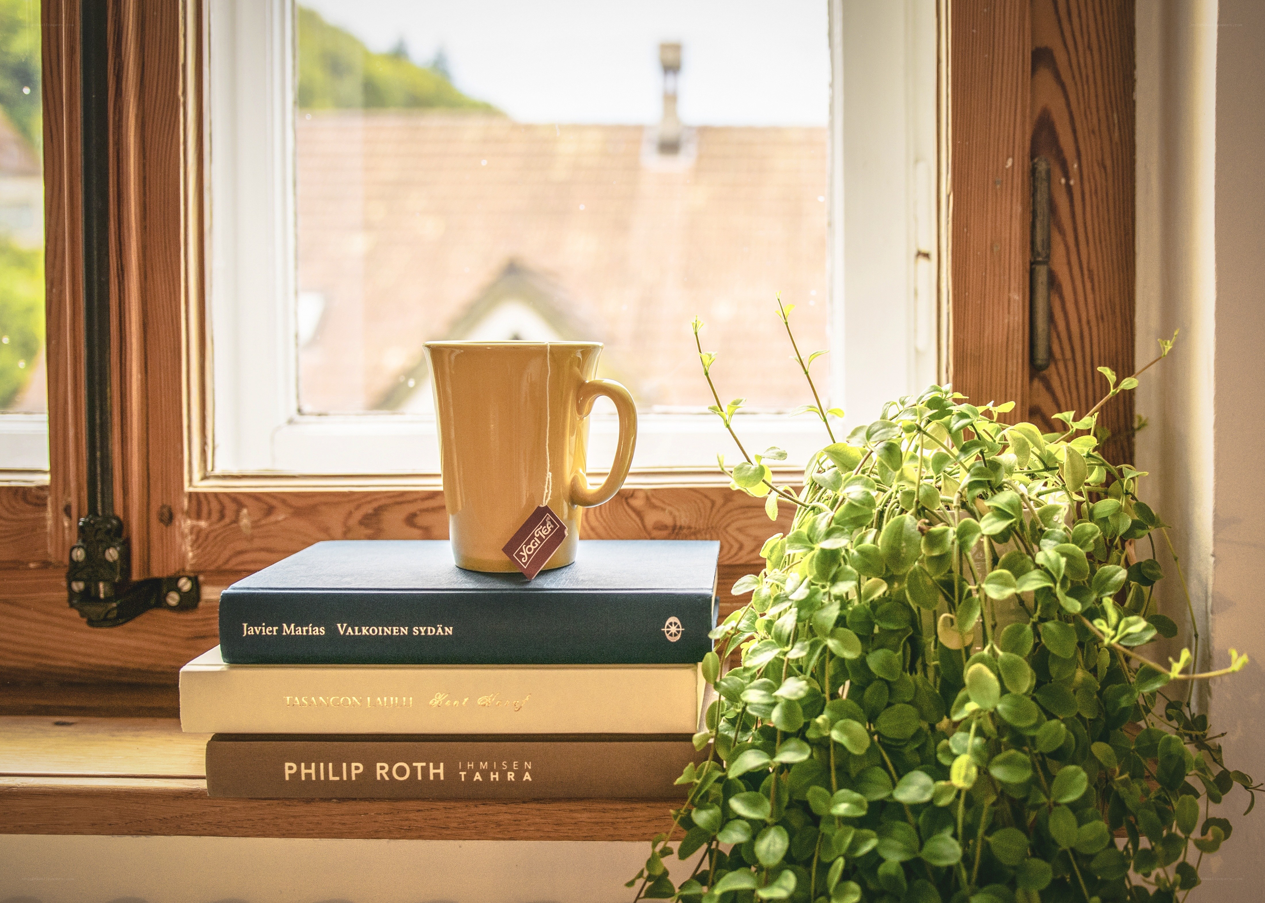 Tea by the window with books