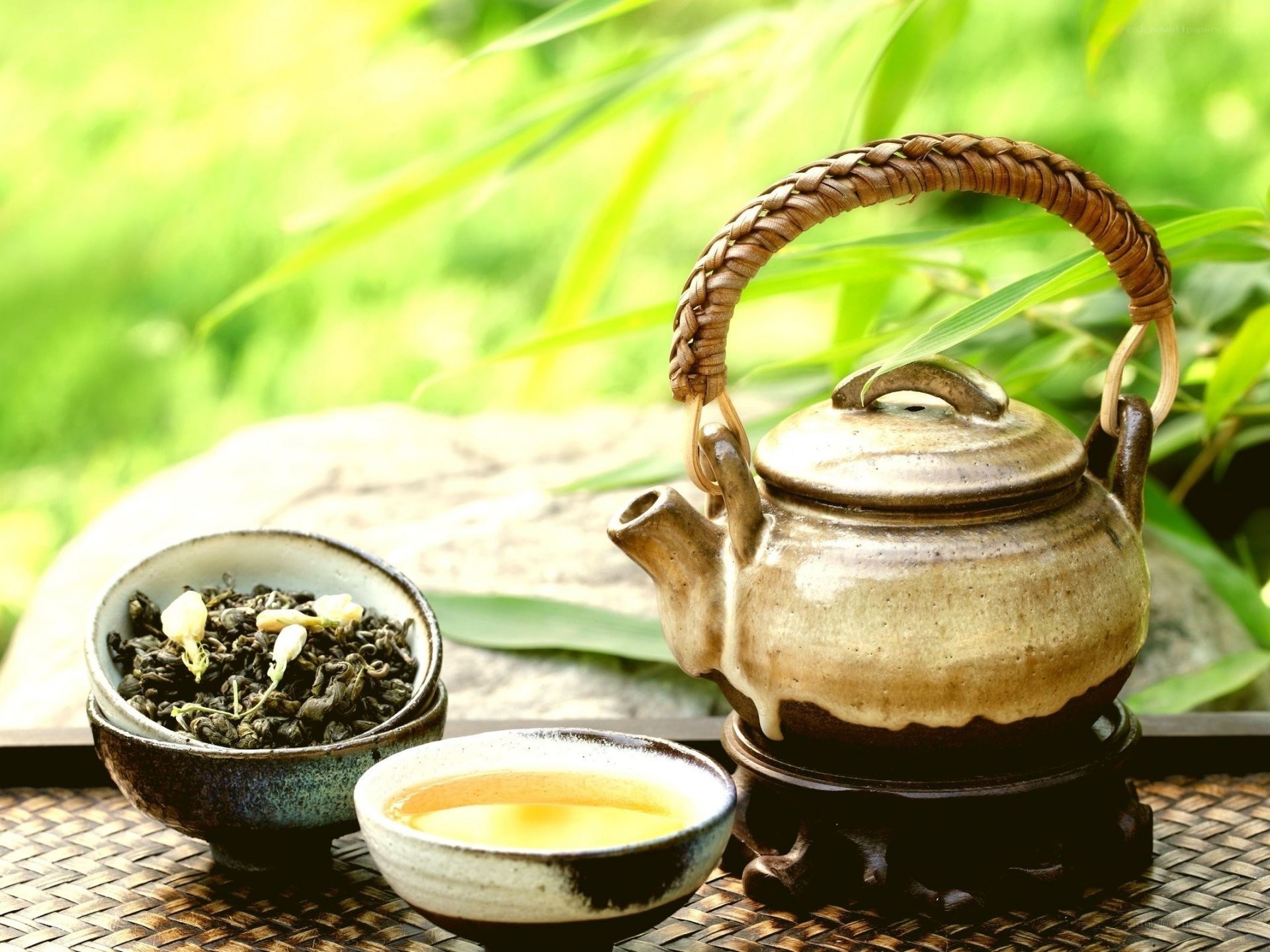 Tea ceremony in nature