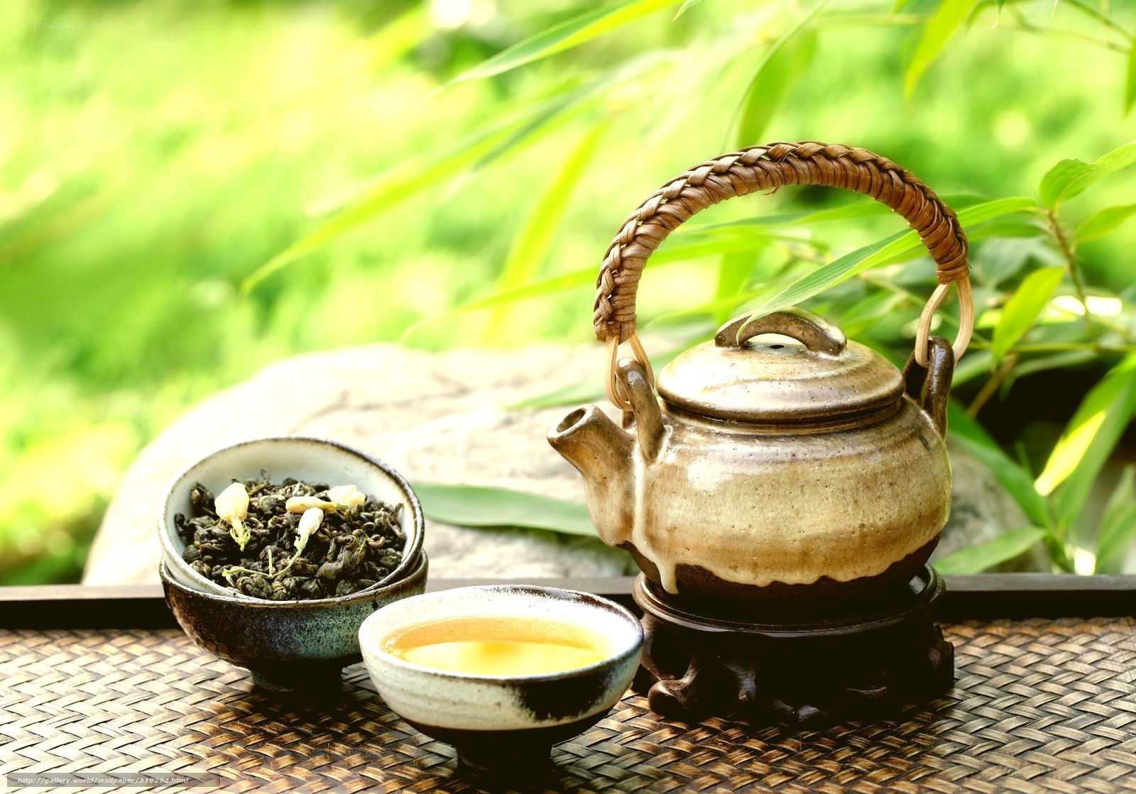 Tea ceremony in nature