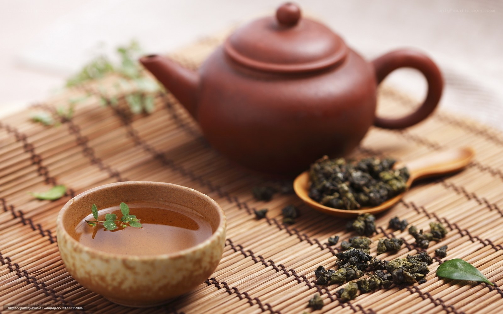 Tea ceremony setup with teapot and cup