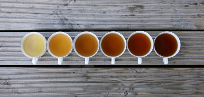 Tea color progression