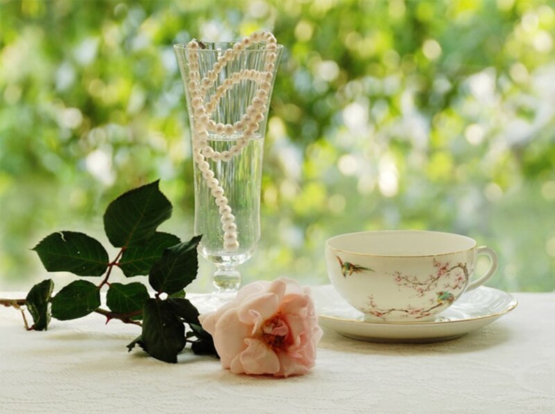 Tea Cup and Rose