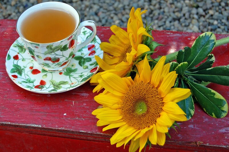 Tea Cup and Sunflowers