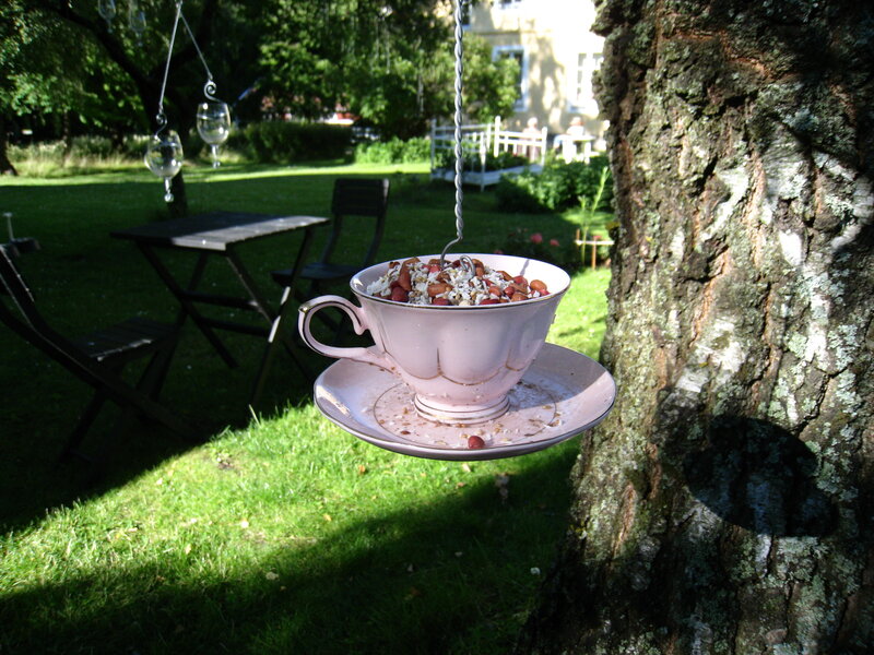 Tea Cup Bird Feeder