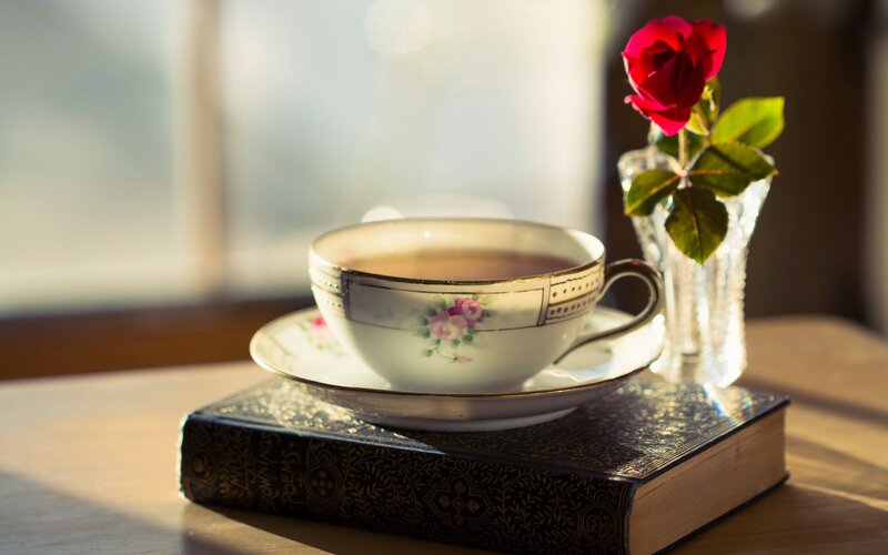 Tea Cup on Book — Brown, Serene, Morning