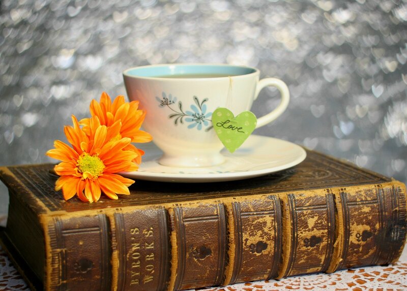 Tea Cup on Book — Brown, Serene, Photograph